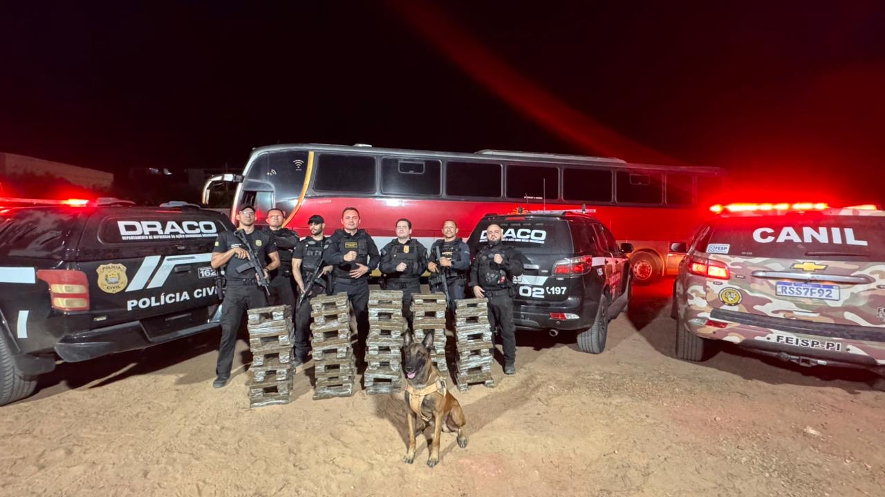 Fonte: Divulgação / SSP-PI